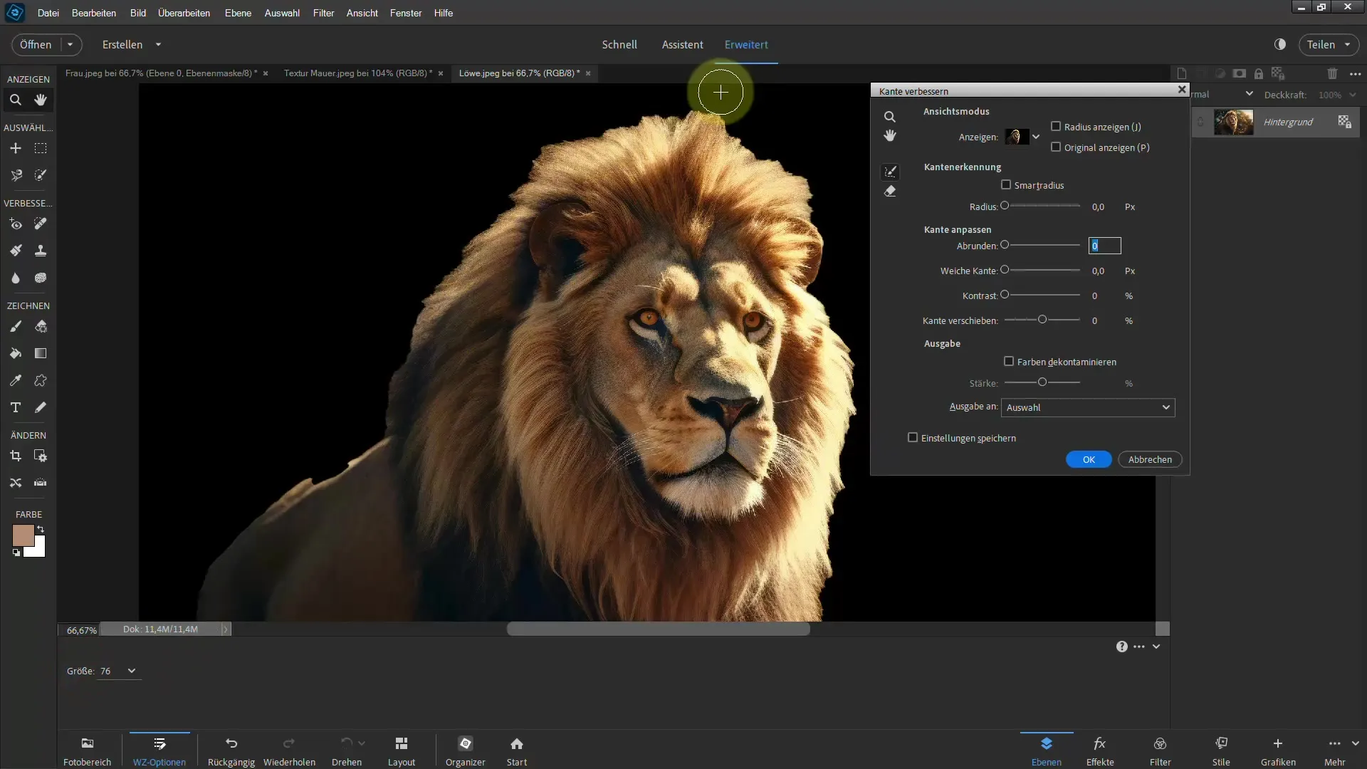 Cutting out a lion: Step-by-step guide for Photoshop Elements