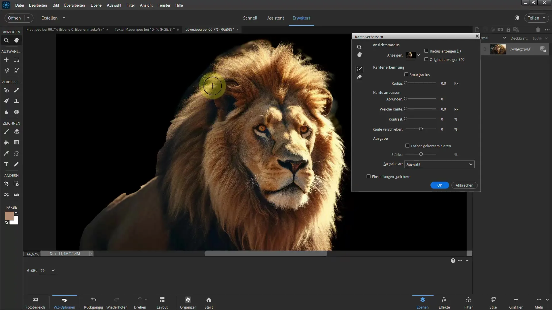 Clipping a lion: Step-by-step guide for Photoshop Elements