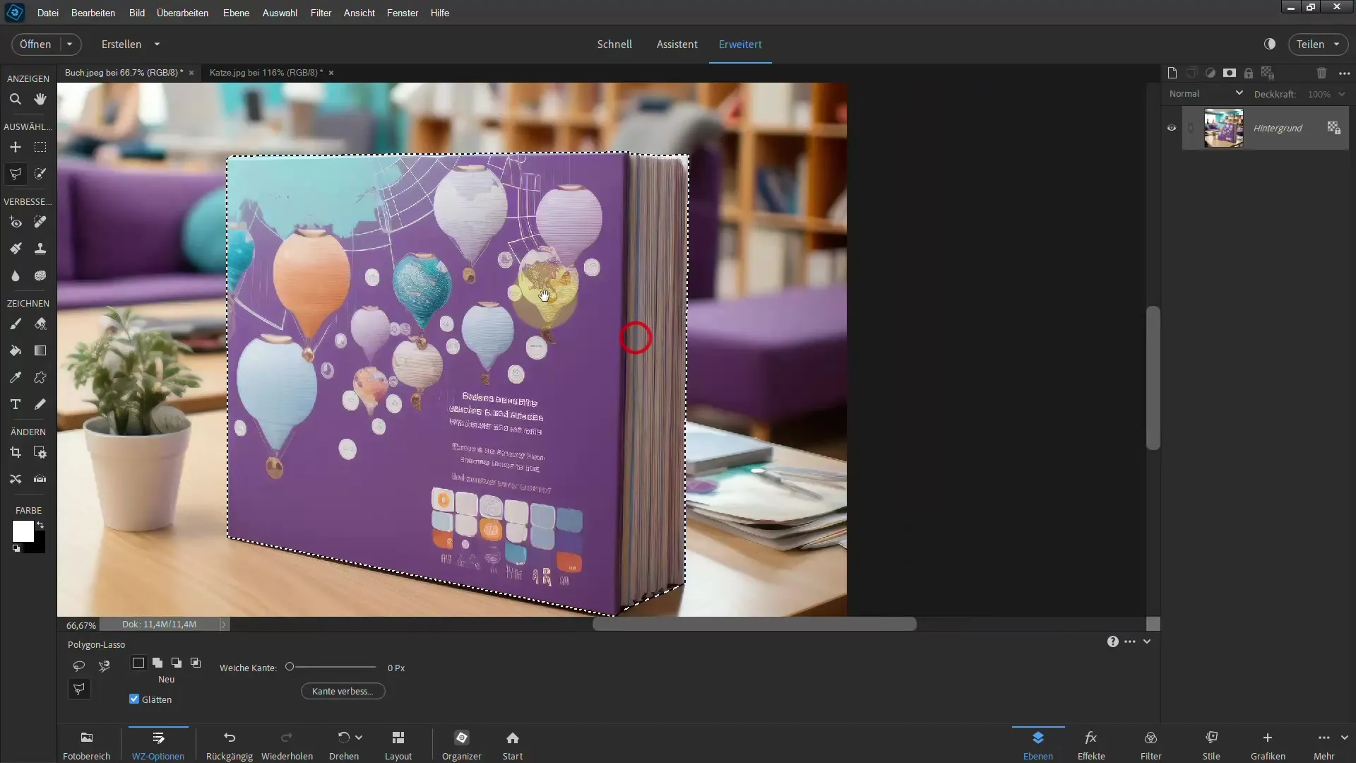 Membuat seleksi dengan Photoshop Elements: Dengan Polygon-Lasso untuk hasil yang mengesankan