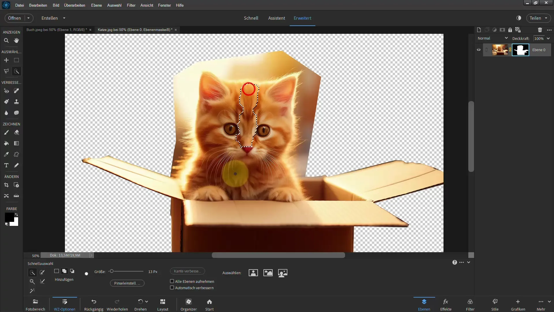 Cutting out with Photoshop Elements: Achieve impressive results with the polygonal lasso