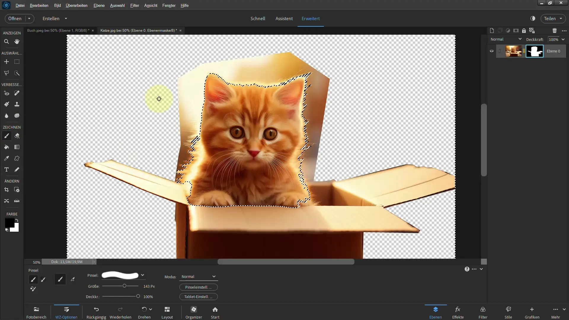 Membuat seleksi dengan Photoshop Elements: Dapatkan hasil yang mengesankan dengan Polygon-Lasso