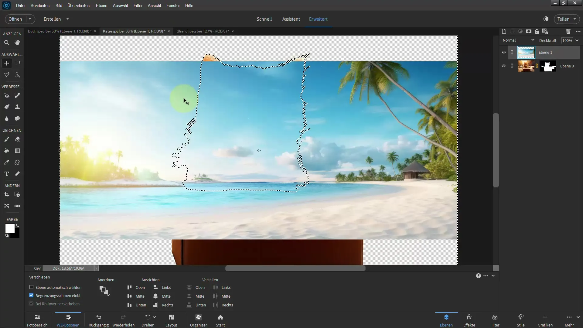 Clipping with Photoshop Elements: Achieving impressive results with the polygon lasso