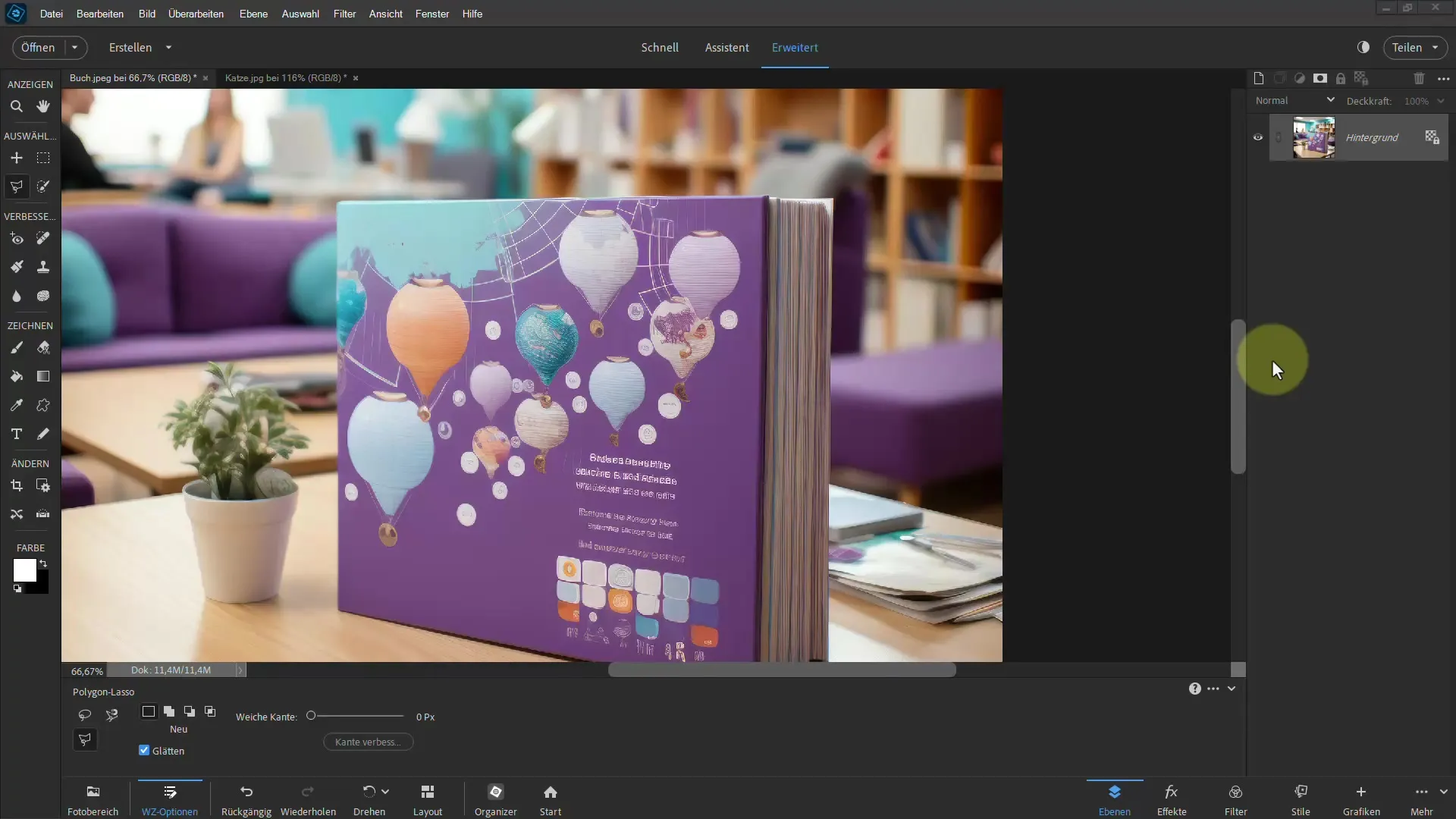 Membuat bebas dengan Photoshop Elements: Dapatkan hasil yang mengesankan dengan Polygon-Lasso