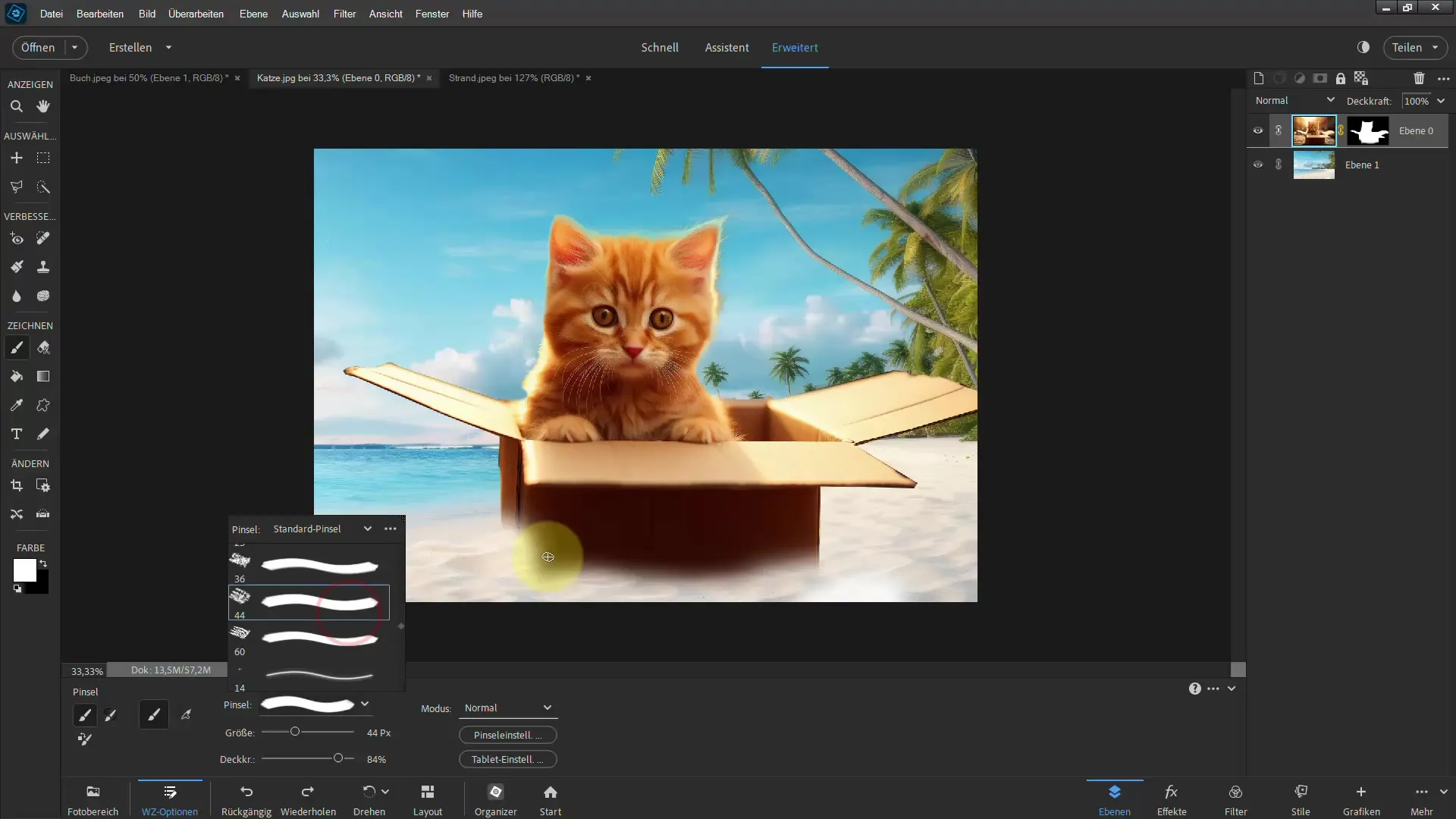 Membuat seleksi dengan Photoshop Elements: Dengan Polygon Lasso untuk hasil yang mengesankan