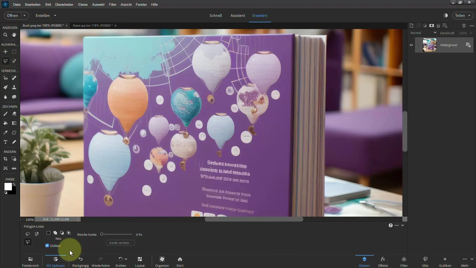 Clipping with Photoshop Elements: Achieving impressive results with the polygon lasso