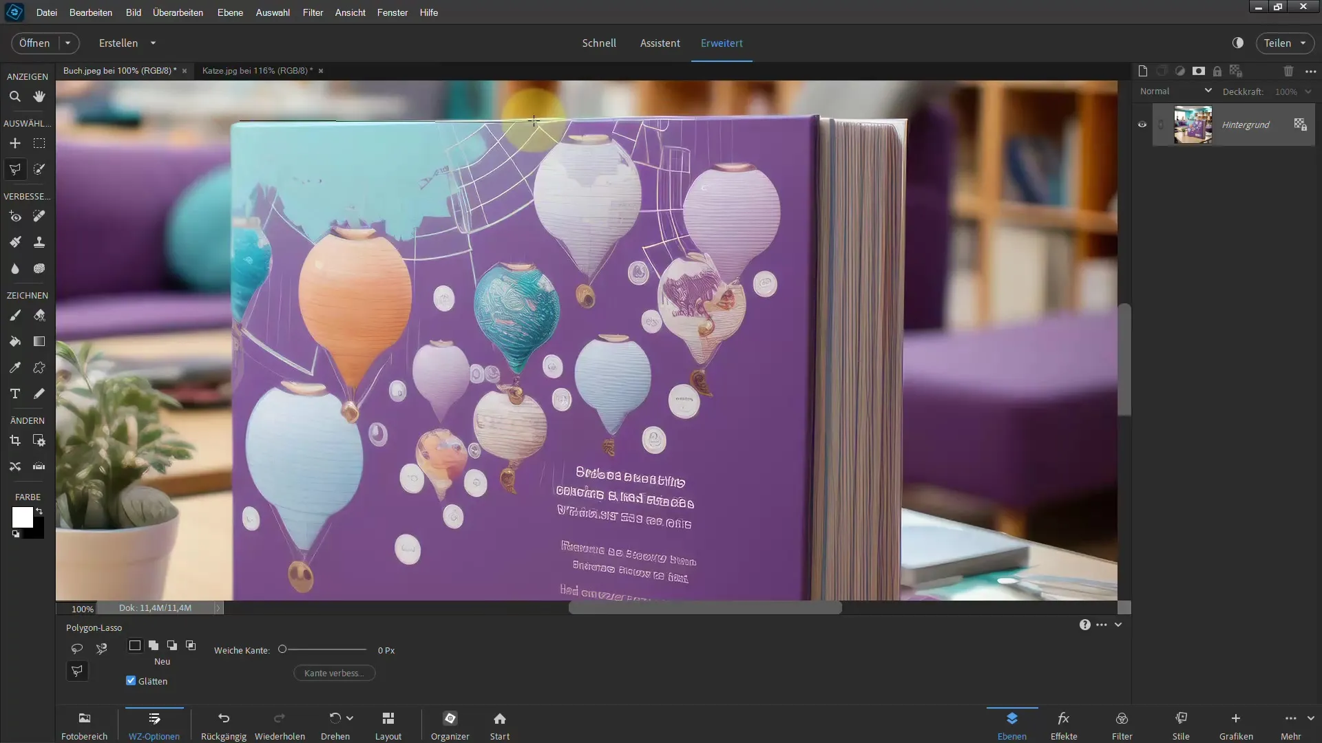 Membuat seleksi dengan Photoshop Elements: Dapatkan hasil yang mengesankan dengan Polygon-Lasso