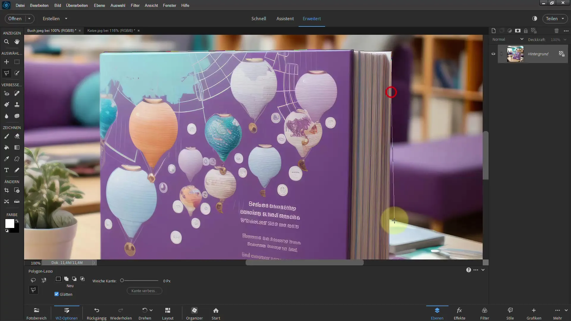 Membuat seleksi dengan Photoshop Elements: Dengan Polygon-Lasso untuk hasil yang mengesankan