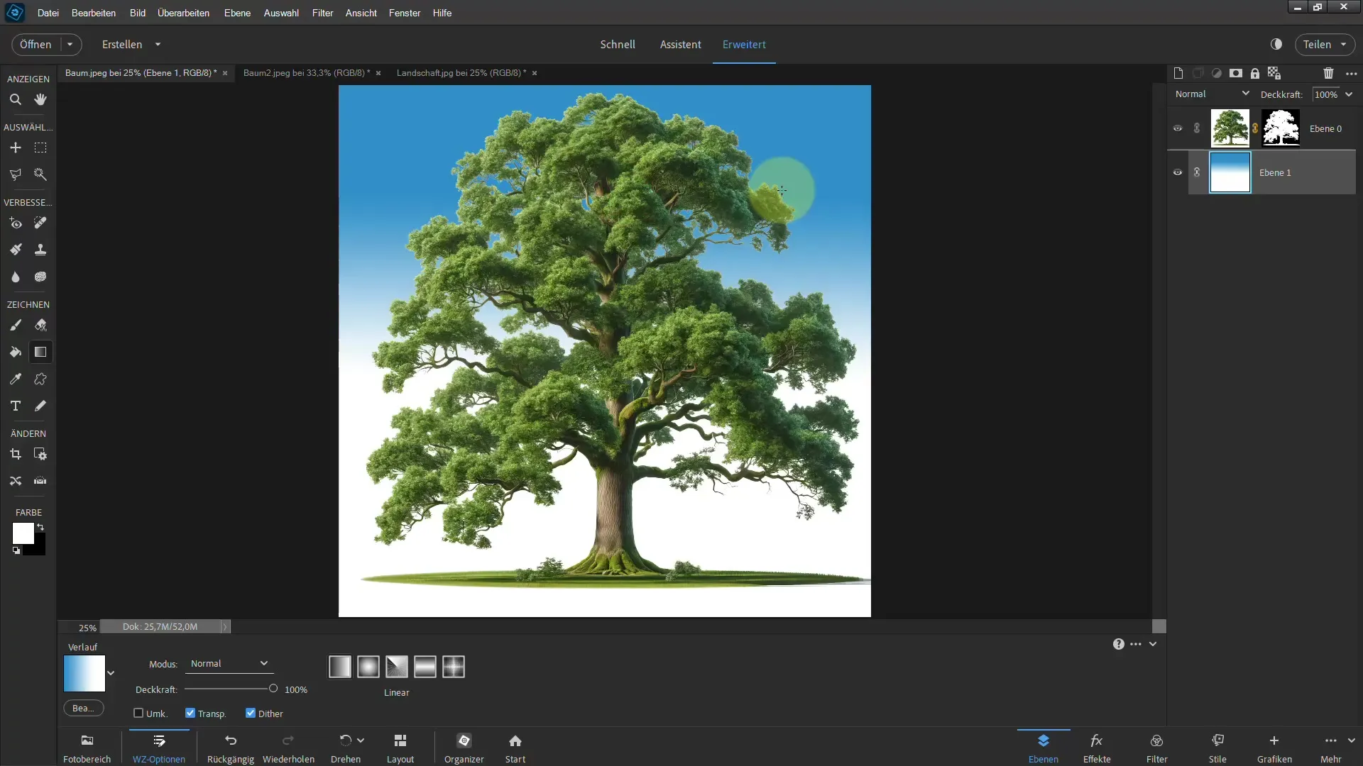 Clipping made easy - Ultimate guide for trees in Photoshop Elements