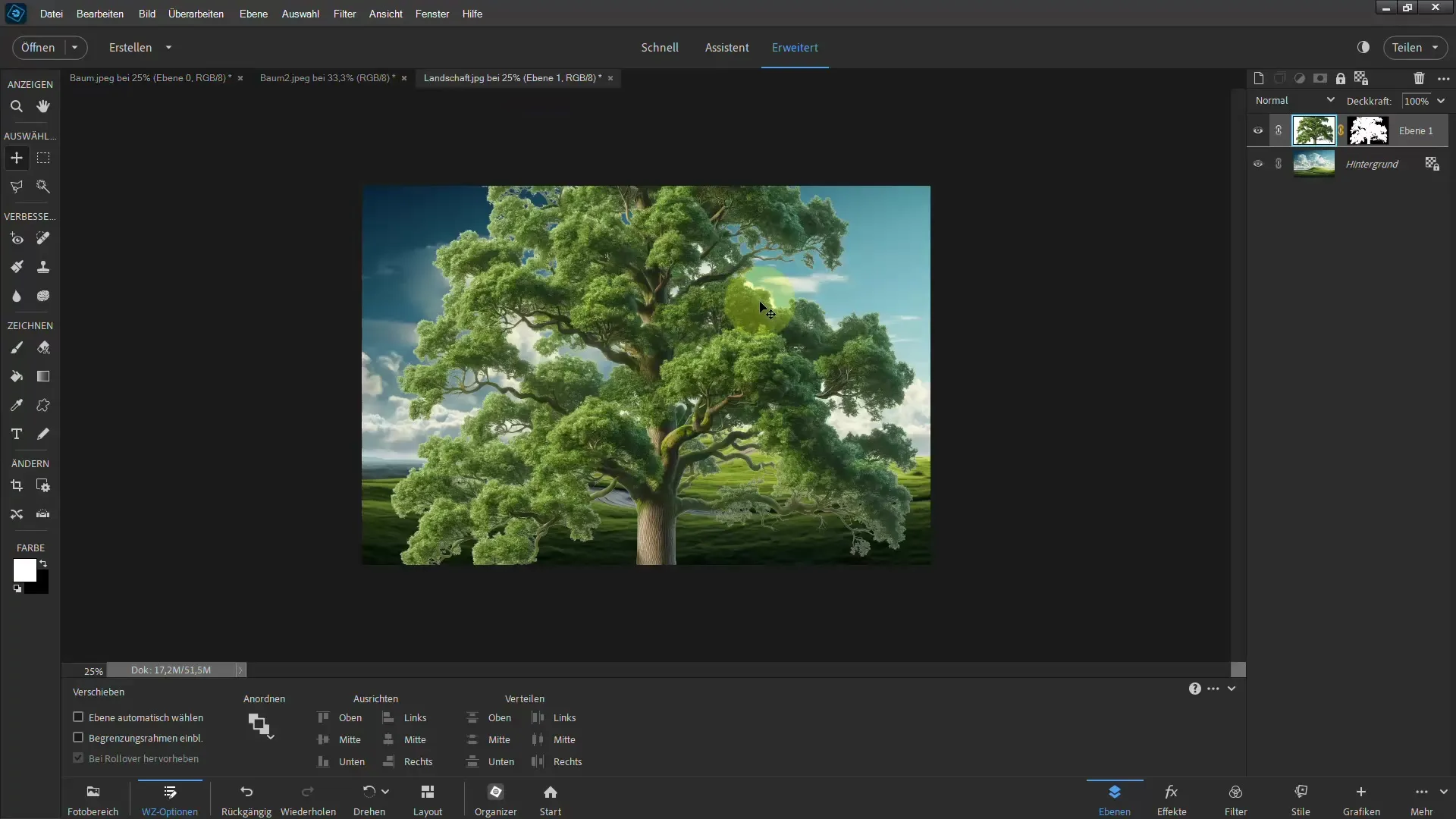 Easy clipping - Ultimate guide for trees in Photoshop Elements