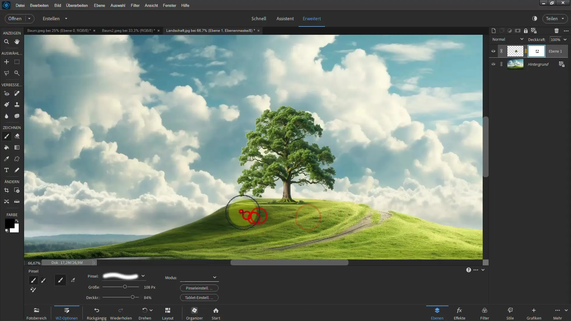 Membuat seleksi mudah - Panduan ultimatif untuk pohon di Photoshop Elements