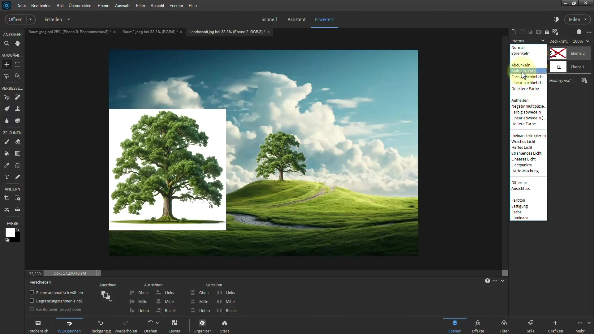 Making selections easy - Ultimate guide for trees in Photoshop Elements