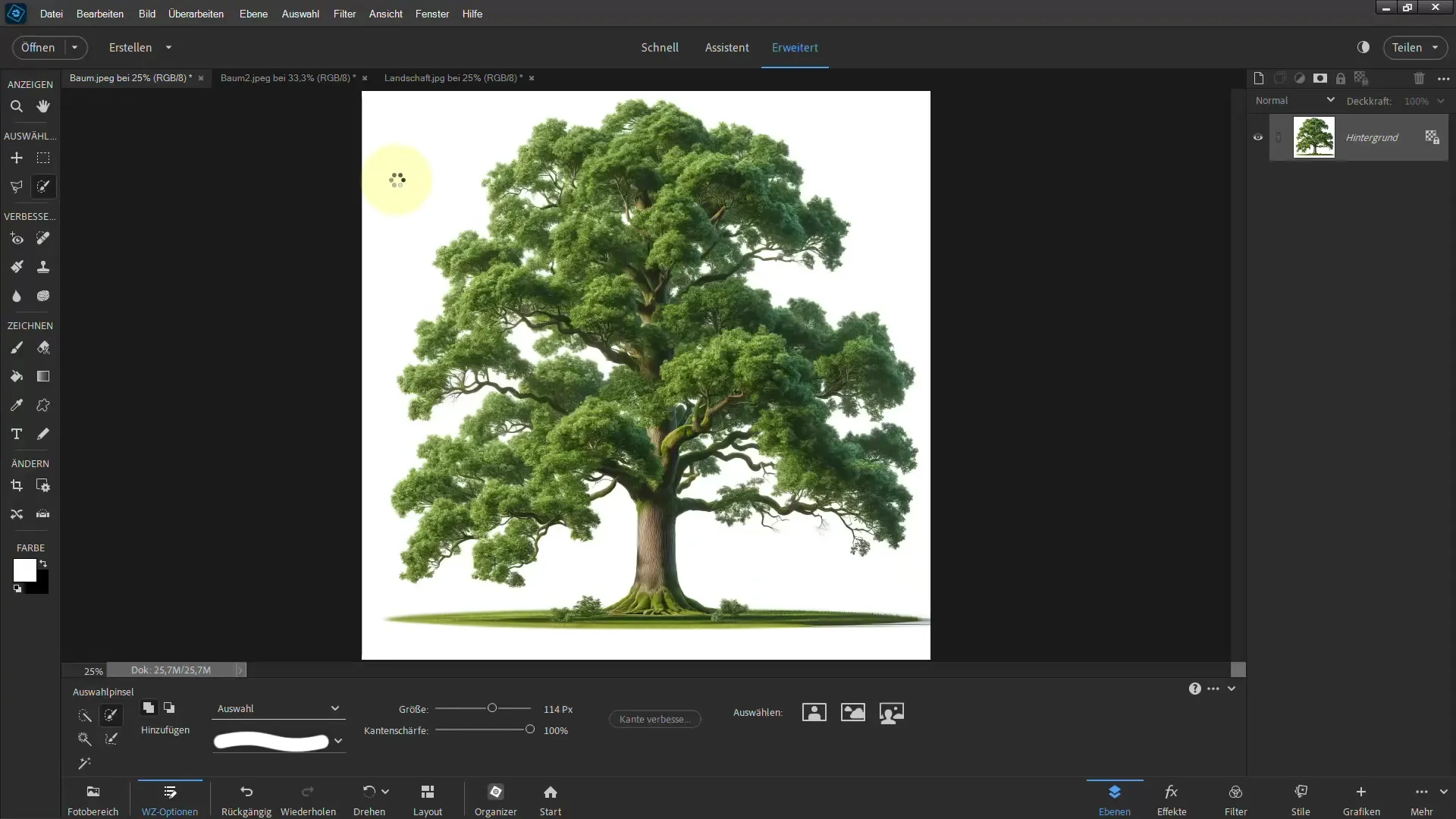 Membuat seleksi mudah - Panduan ultimatif untuk pohon di Photoshop Elements