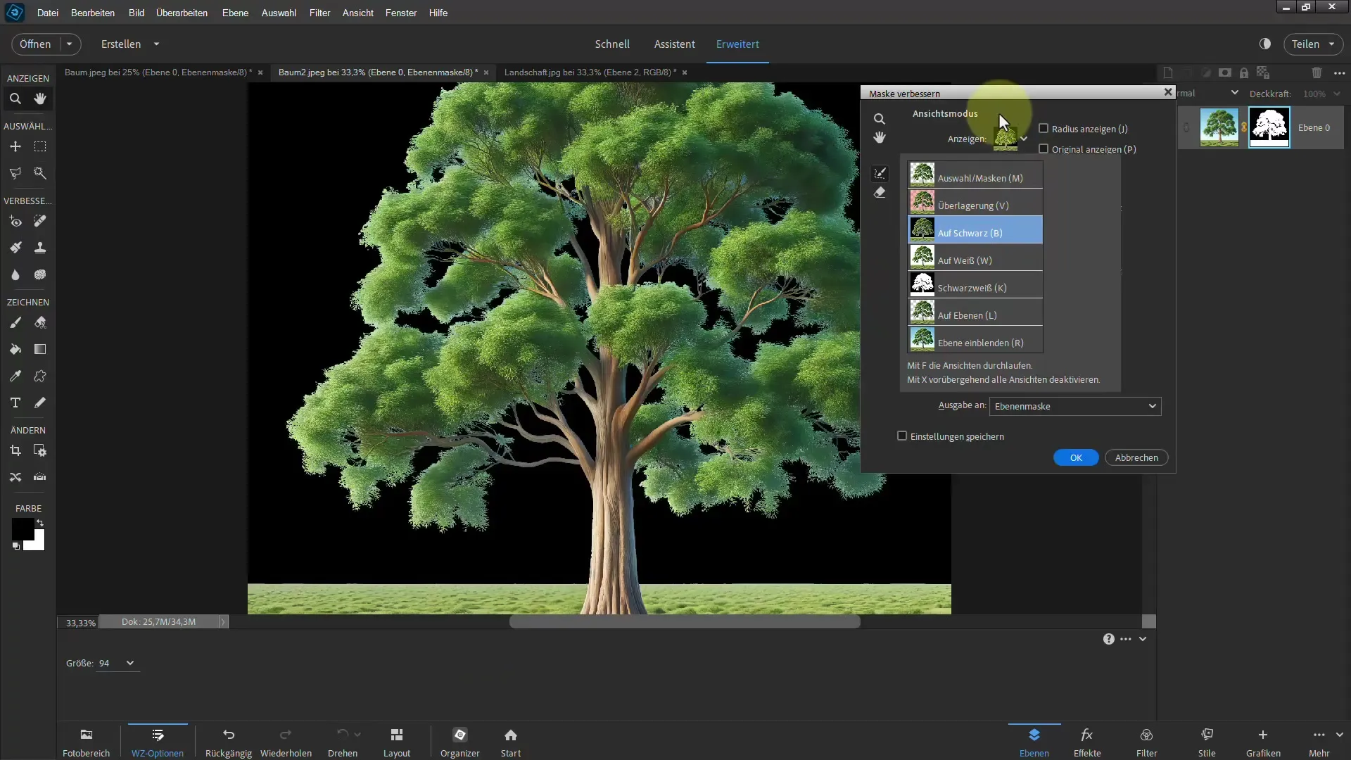 Cutting out made easy - Ultimate guide for trees in Photoshop Elements