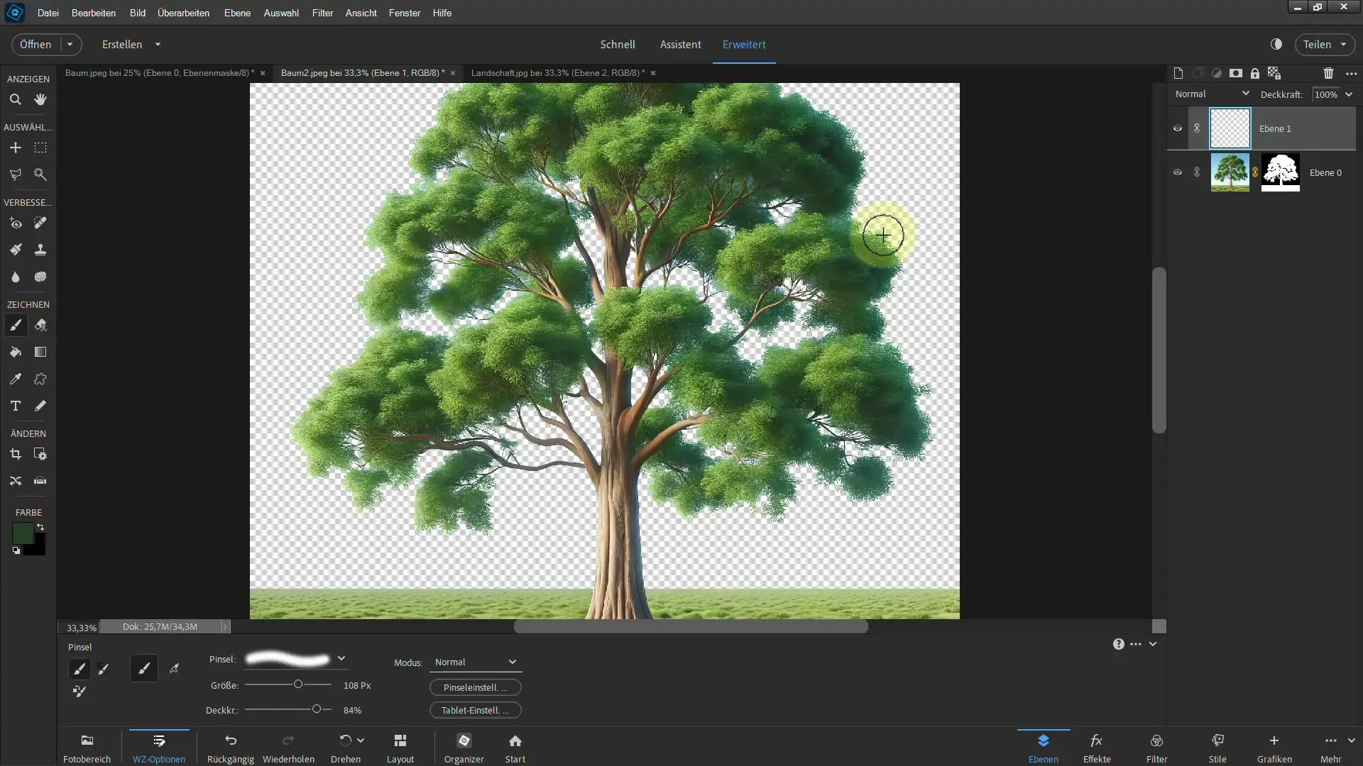 Cutting out made easy - Ultimate guide for trees in Photoshop Elements