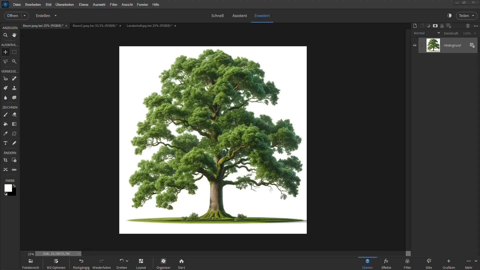 Clipping made easy - Ultimate guide for trees in Photoshop Elements