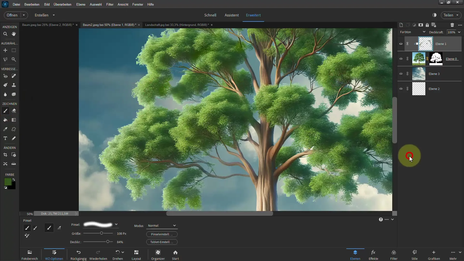 Clipping made easy - Ultimate guide for trees in Photoshop Elements