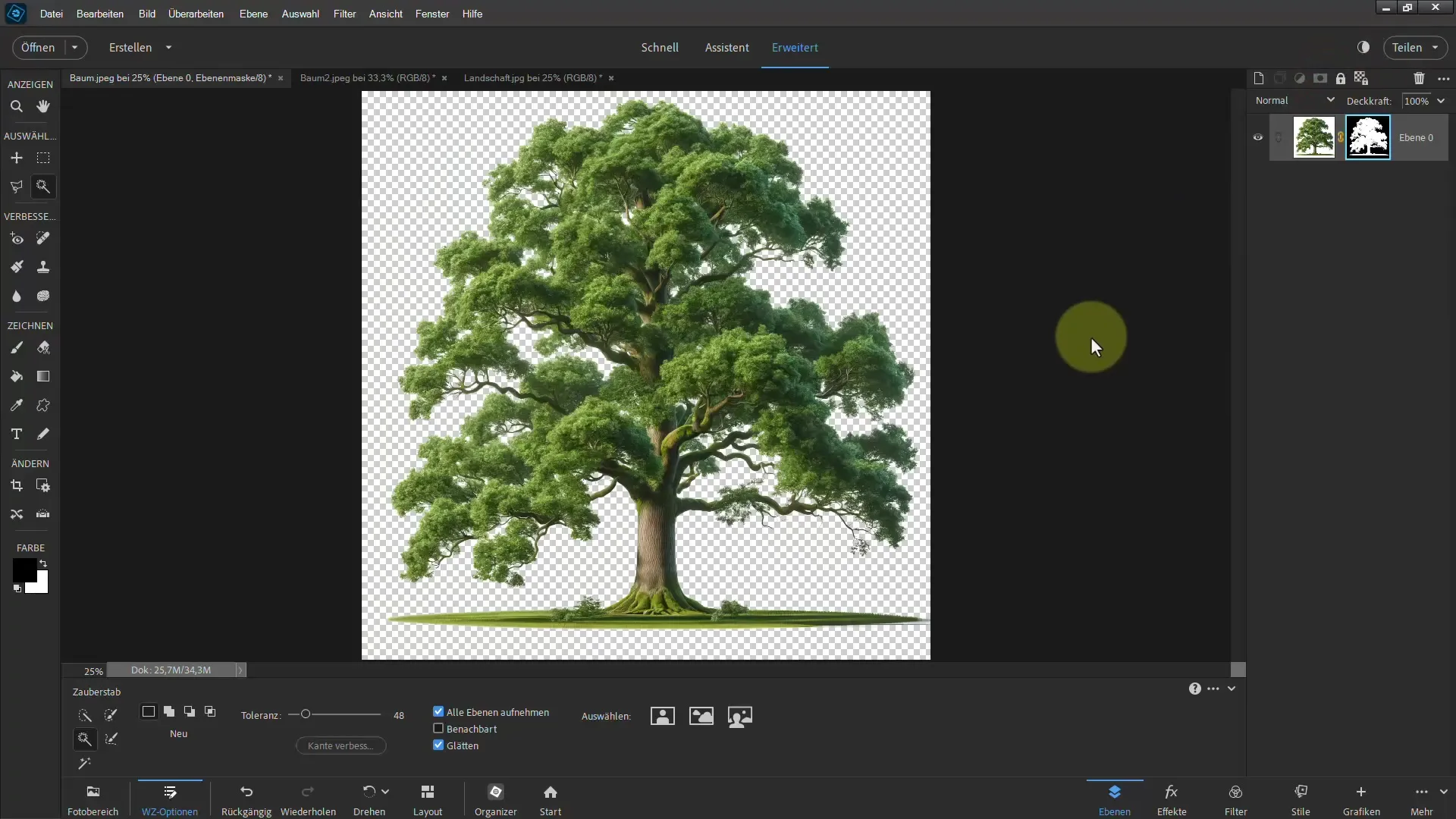 Clipping easily made - Ultimate guide for trees in Photoshop Elements