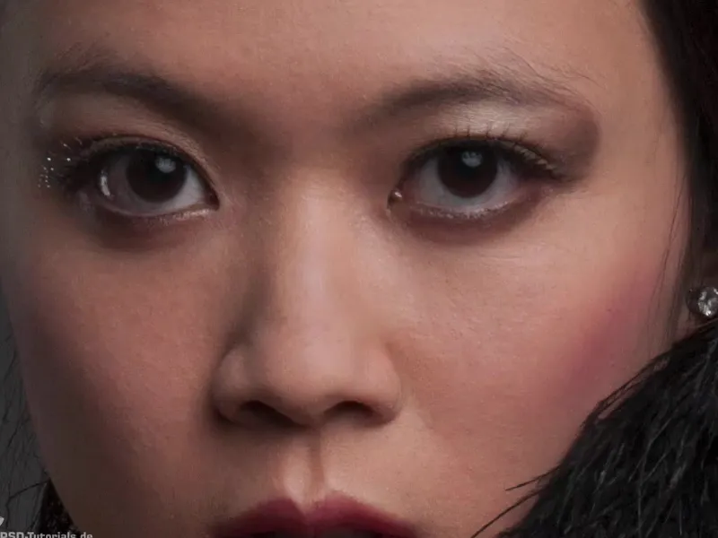 Efeitos e estilos com Photoshop - Ferramentas de retoque Looks & Styles com Photoshop - Ferramentas de retoque