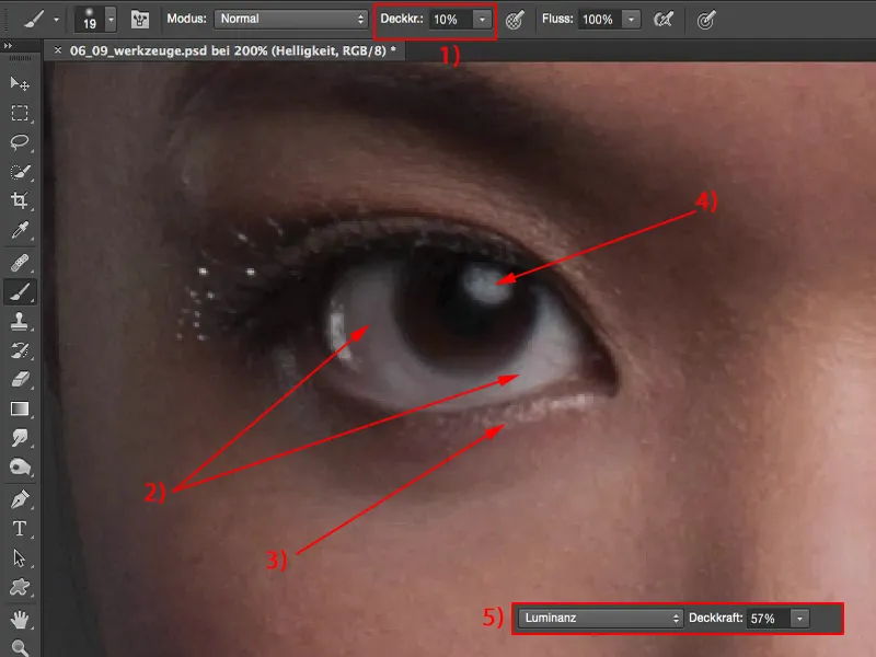 Looks & Styles com Photoshop - Ferramentas de retoque Looks & Styles com Photoshop - Ferramentas para retoque