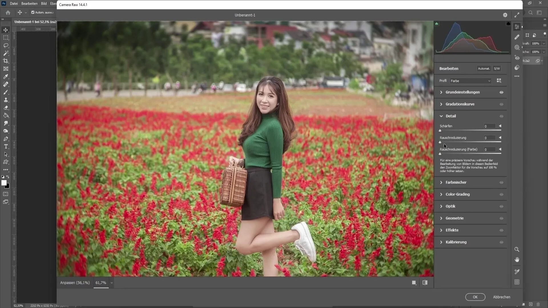 Tehnici Photoshop: Funcțiile filtrului Camera Raw - Partea a doua - ceață, culoare și altele Tehnici Photoshop: Funcțiile filtrului Camera Raw - Partea doi - Ceț, culoare și altele