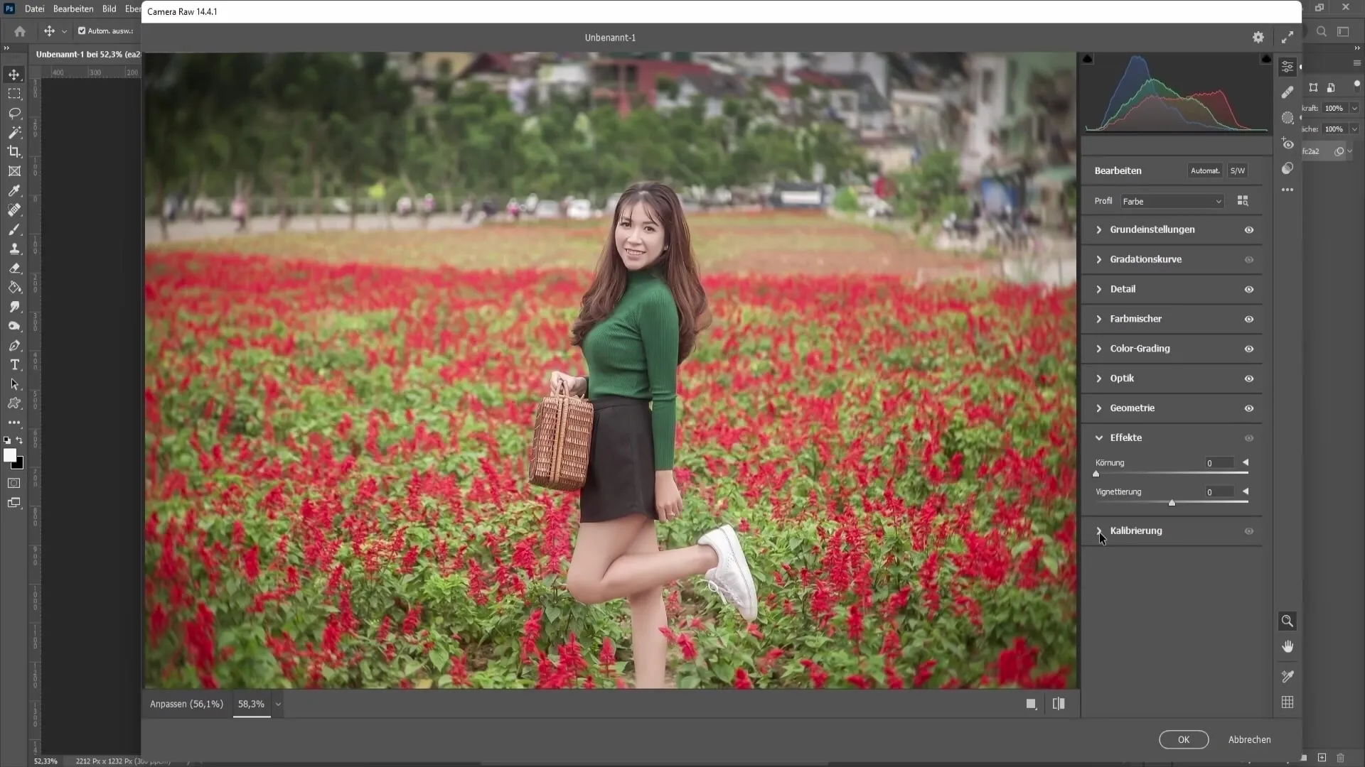 Tehnici Photoshop: Funcțiile filtrului Camera Raw Partea a doua - Cețuri, culori și altele Tehnici de Photoshop: Funcțiile filtrului Camera Raw - Partea două - Ceață, culoare și altele