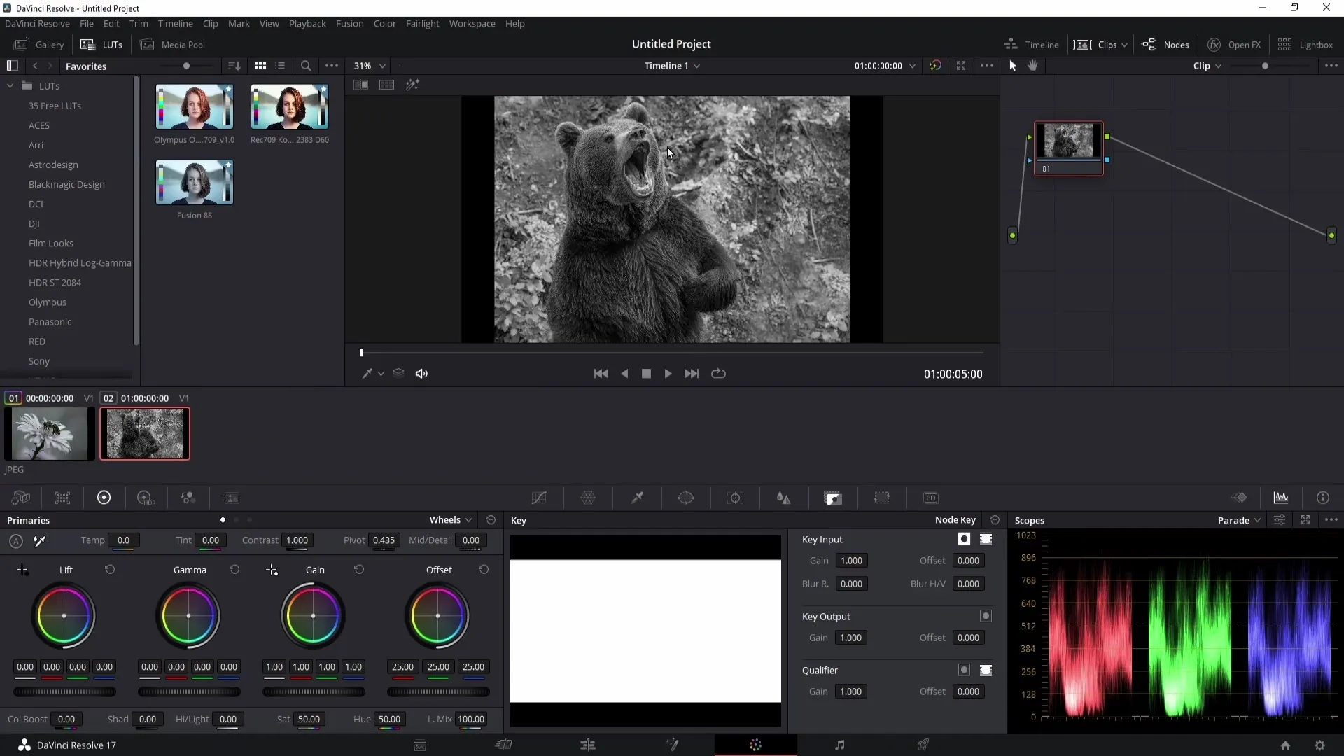 DaVinci Resolve: Una guida passo per passo per la creazione di timeline