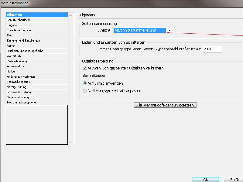 Voreinstellungen in Adobe InDesign