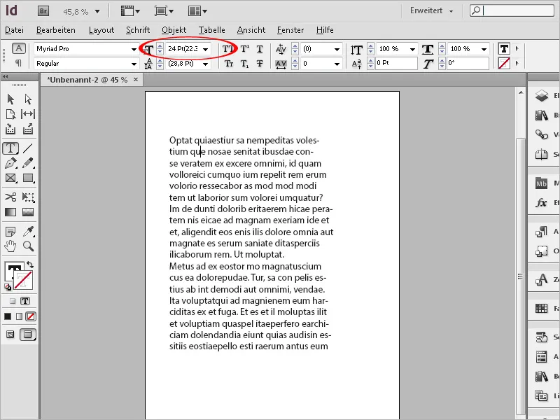 Voreinstellungen in Adobe InDesign