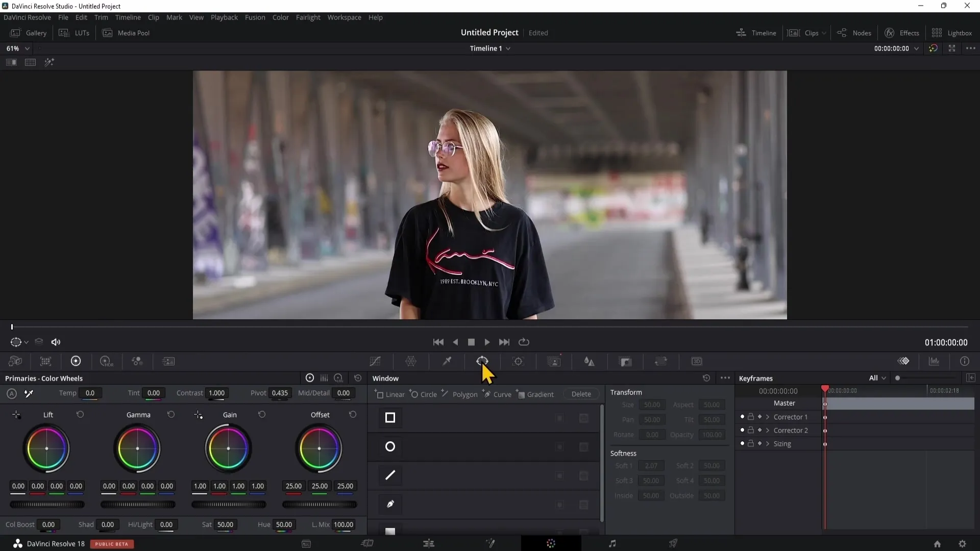 DaVinci Resolve: Effectively Cut Out/Isolate a Person