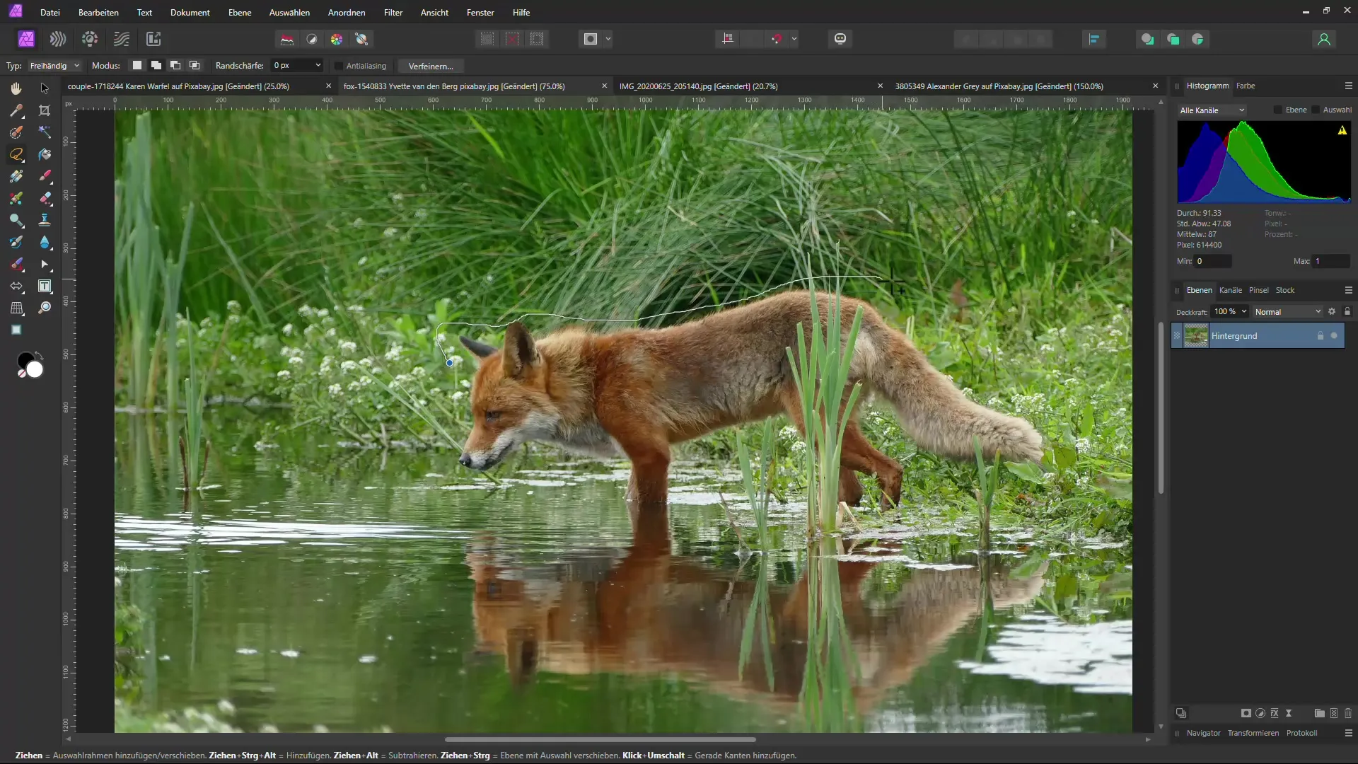 Effective methods for removing objects from images using AI: A comparison of Affinity Photo and Photopea