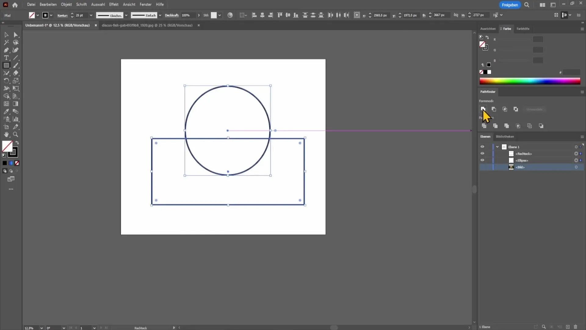 Wprowadzenie do programu Adobe Illustrator dla początkujących