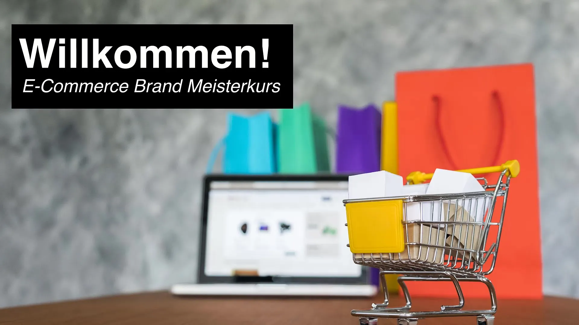 E-Commerce-Kurs: Was dich im Kurs erwartet