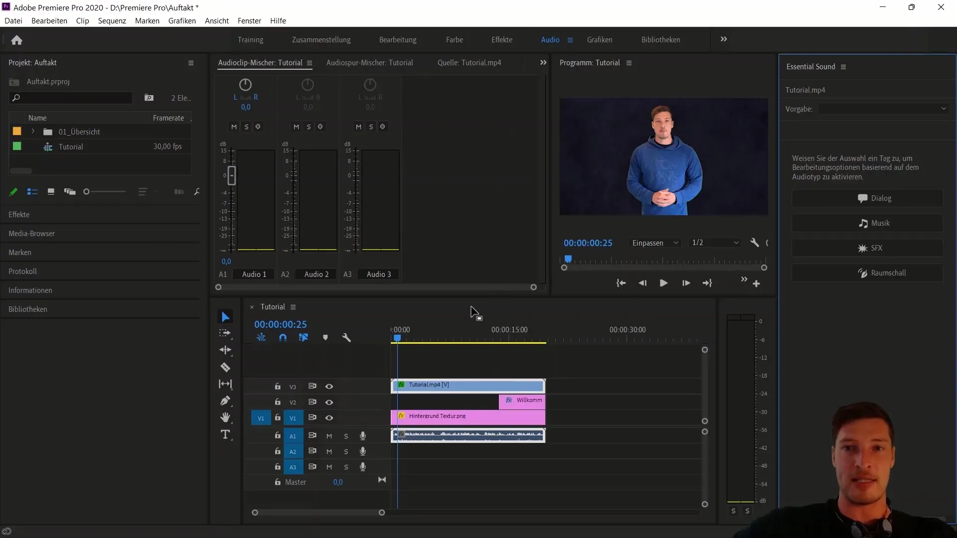 Pemanfaatan Adobe Premiere Pro CC secara efisien: Struktur dan alur kerja yang optimal