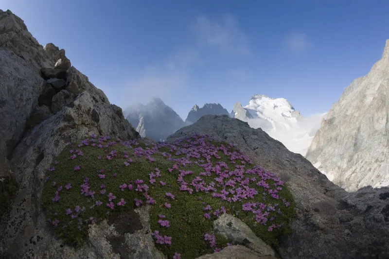 Mountain photography - Part 06 - Close ups - closer to the action