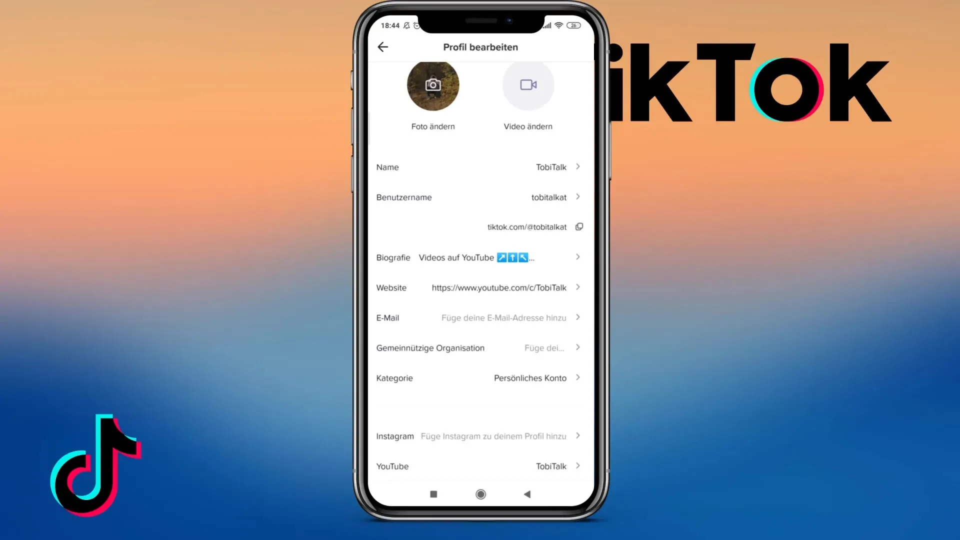 Promoção cruzada com o TikTok: estratégias para aumentar o alcance