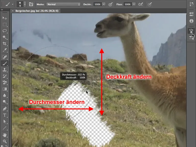 Freistellen mit dem Pinselwerkzeug