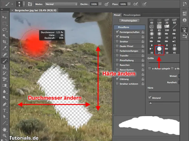 Freistellen mit dem Pinselwerkzeug