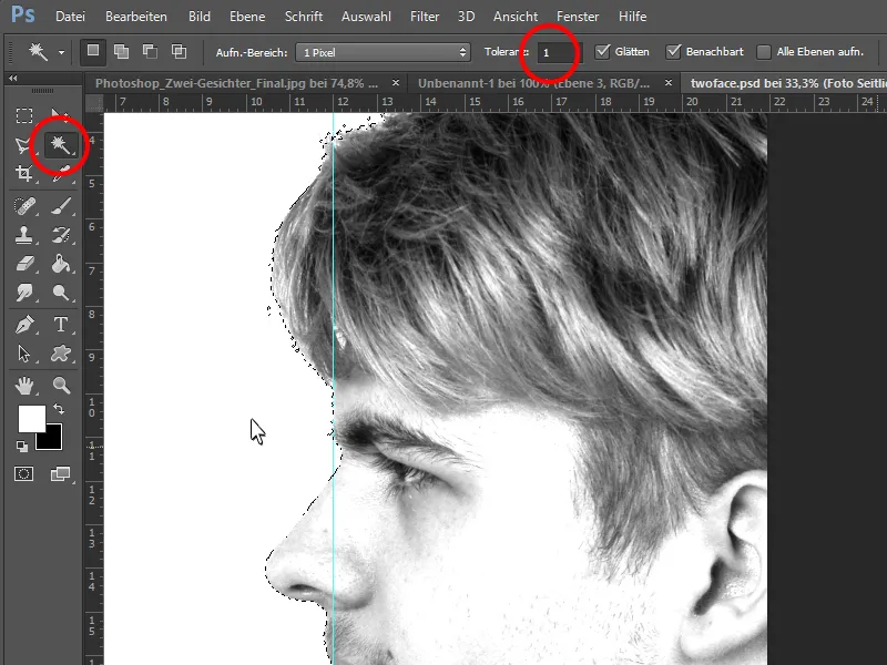 L'effetto a due facce in Photoshop