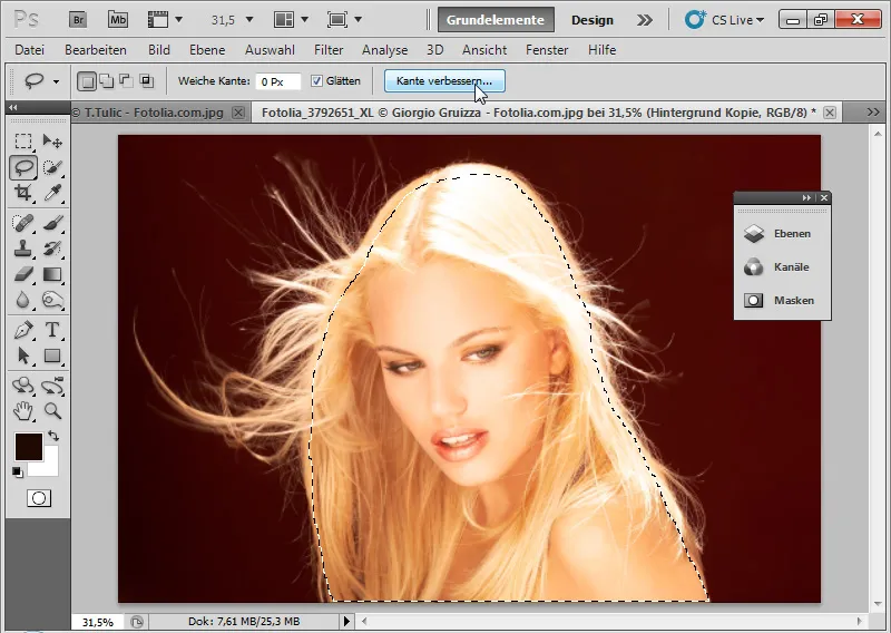 Nouvelles fonctionnalités dans Photoshop CS5: amélioration des bords et masques intelligents