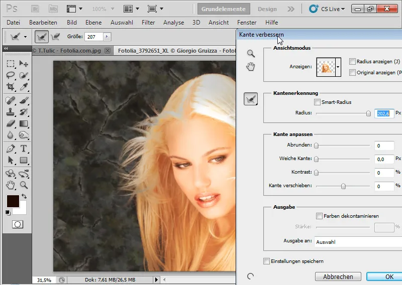 Nouvelles fonctionnalités dans Photoshop CS5: amélioration des bords et masques intelligents