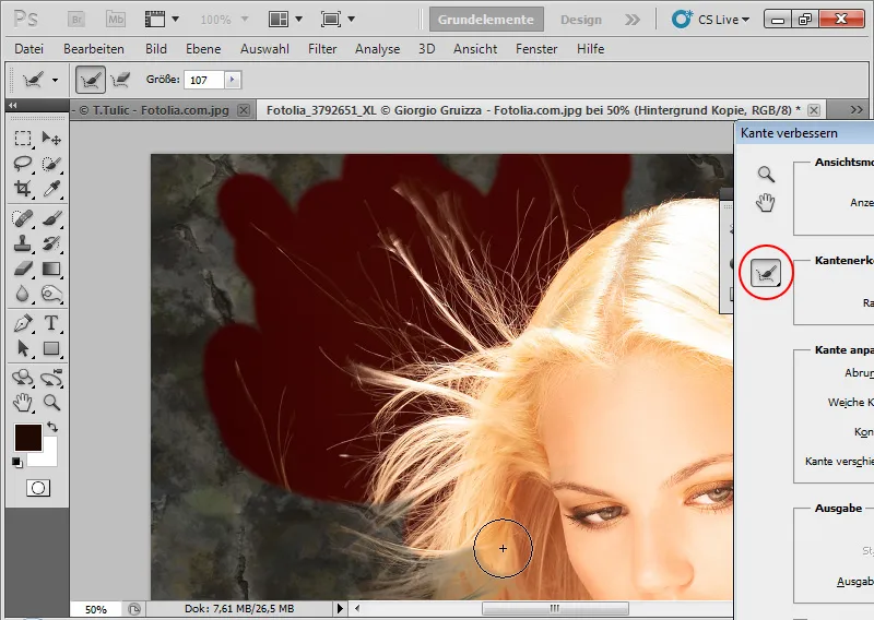 Nouvelles fonctionnalités dans Photoshop CS5: Amélioration des bords et masques intelligents