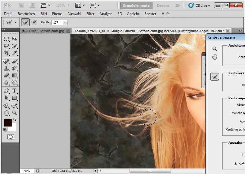 Nouvelles fonctionnalités de Photoshop CS5 : Amélioration des contours et masques intelligents