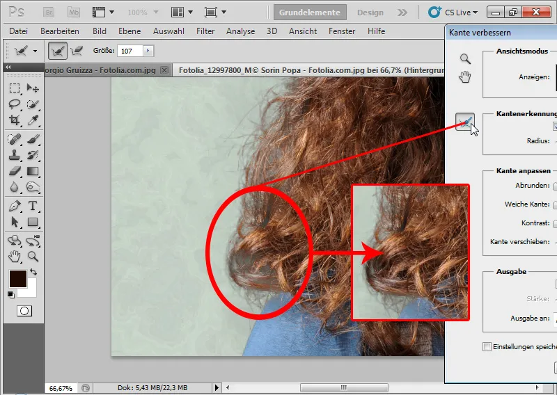 Nouvelles fonctionnalités dans Photoshop CS5 : amélioration des bords et masques intelligents