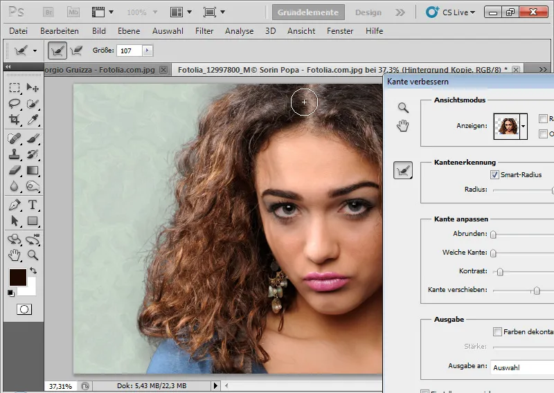 Nouvelles fonctionnalités dans Photoshop CS5 : amélioration des bords et masques intelligents