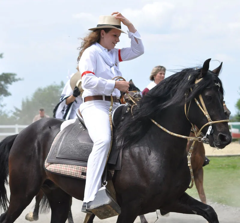 Fotografia de animais parte 08: Fotografia de cavalos