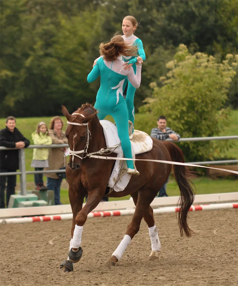 Fotografia de animais Parte 08: Fotografia de cavalos