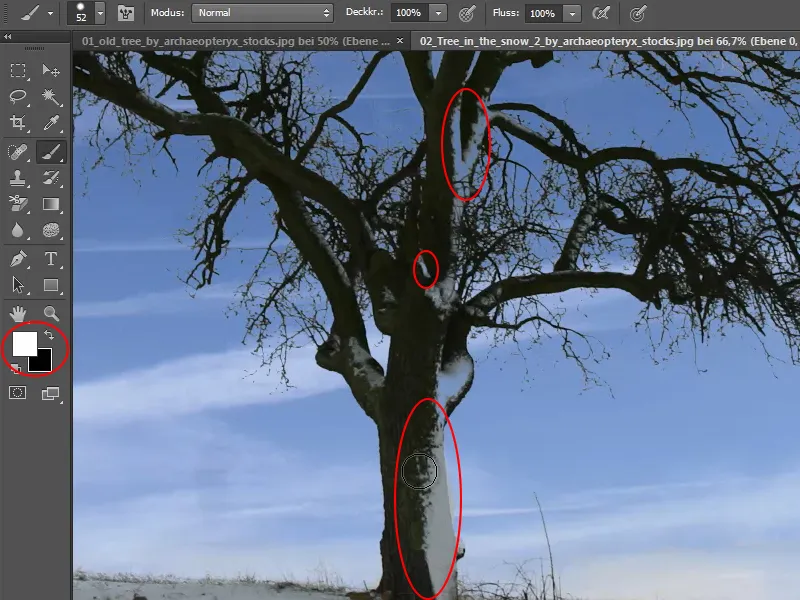 Cropping trees - a breeze with these tricks