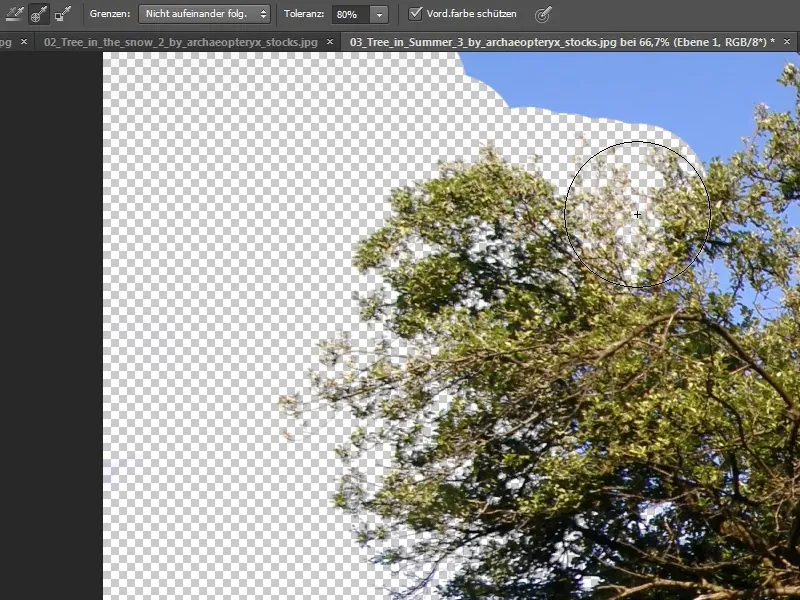 Cropping trees - a breeze with these tricks