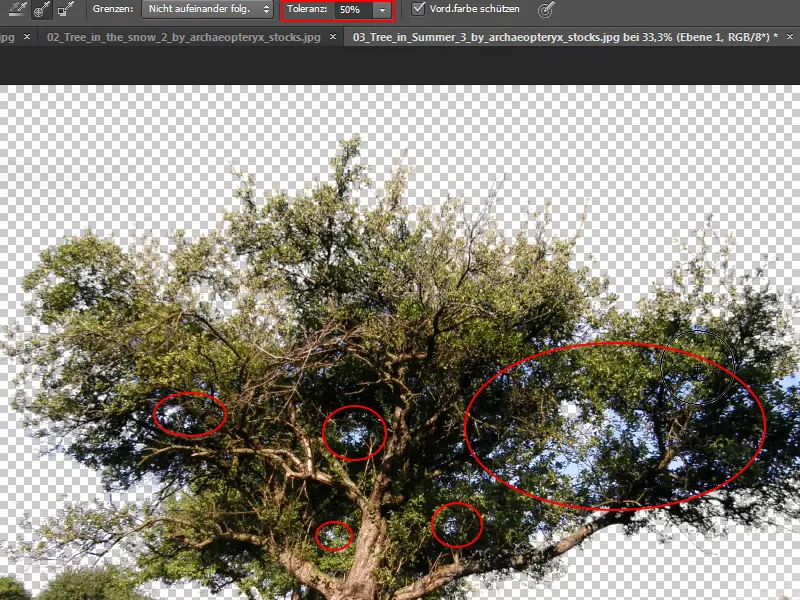 Cropping trees - a breeze with these tricks