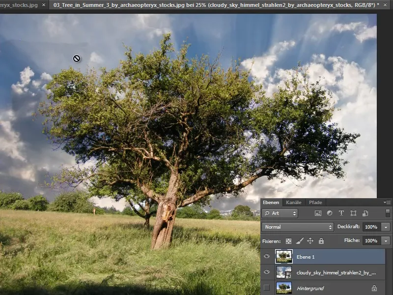 Cropping trees - a breeze with these tricks